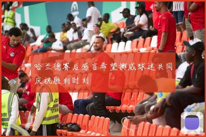 哈兰德赛后感言希望挪威球迷共同庆祝胜利时刻