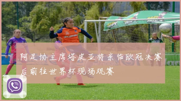 阿足协主席塔皮亚将亲临欧冠决赛后前往世界杯现场观赛