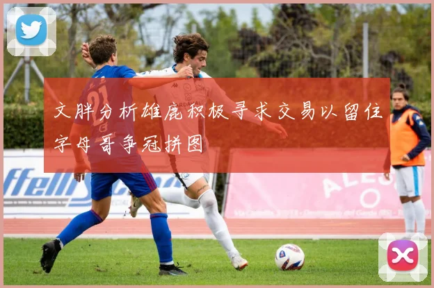 文胖分析雄鹿积极寻求交易以留住字母哥争冠拼图