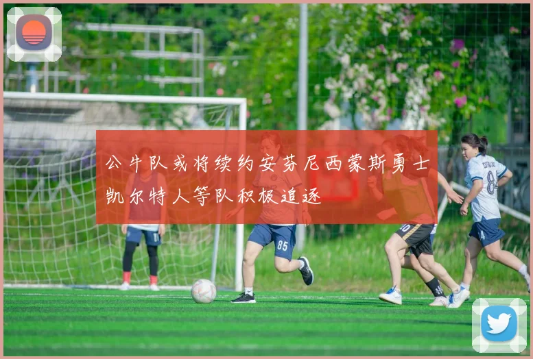 公牛队或将续约安芬尼西蒙斯勇士凯尔特人等队积极追逐